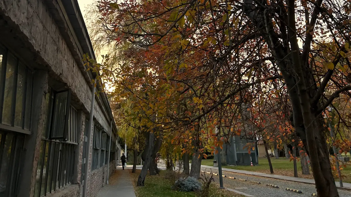 Biraz Kaybolmuş Hissetmek ve Belki de Bu Sorun Değil