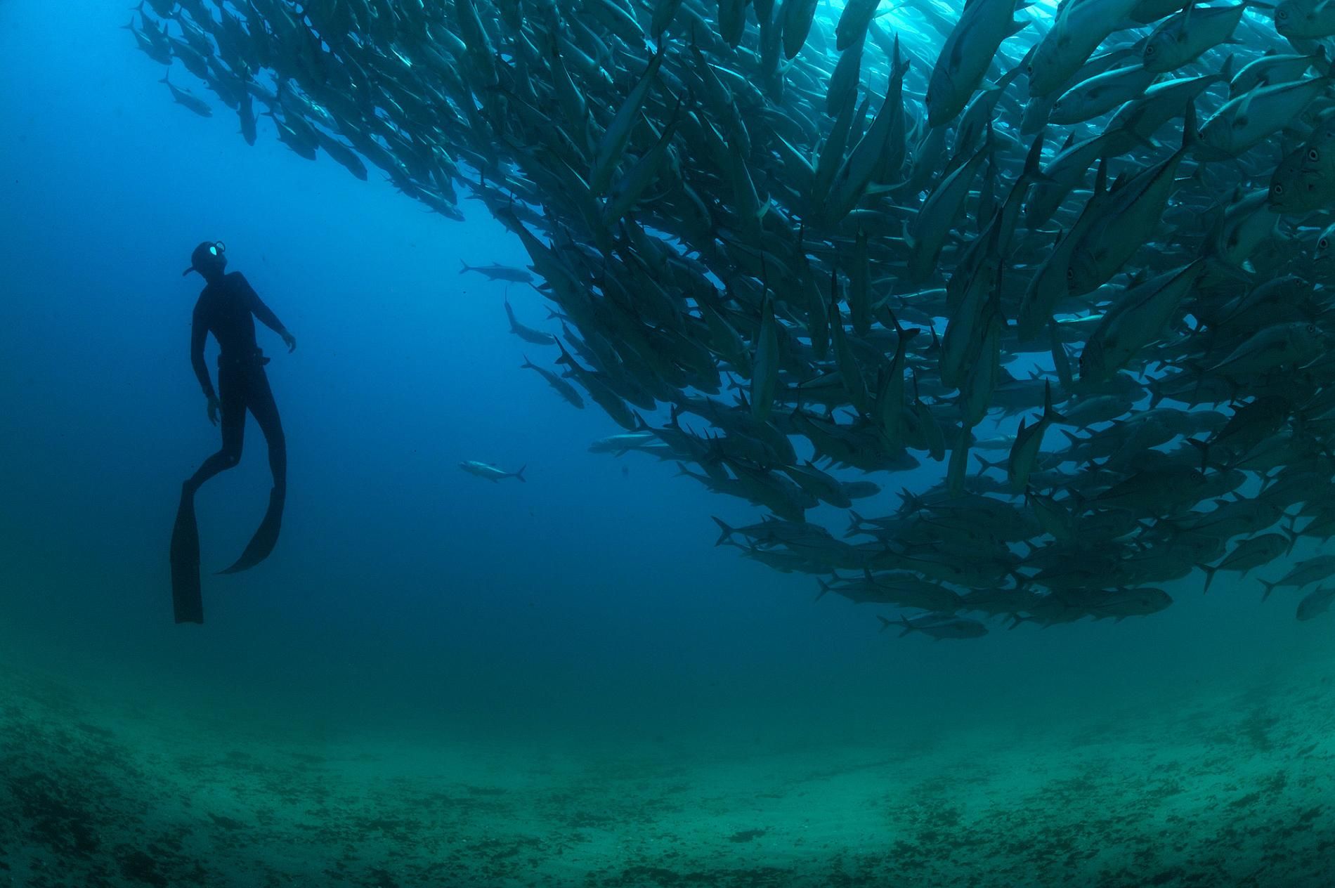 Dünyanın İçindeki Uzay; Okyanusların Gizemli Derinlikleri